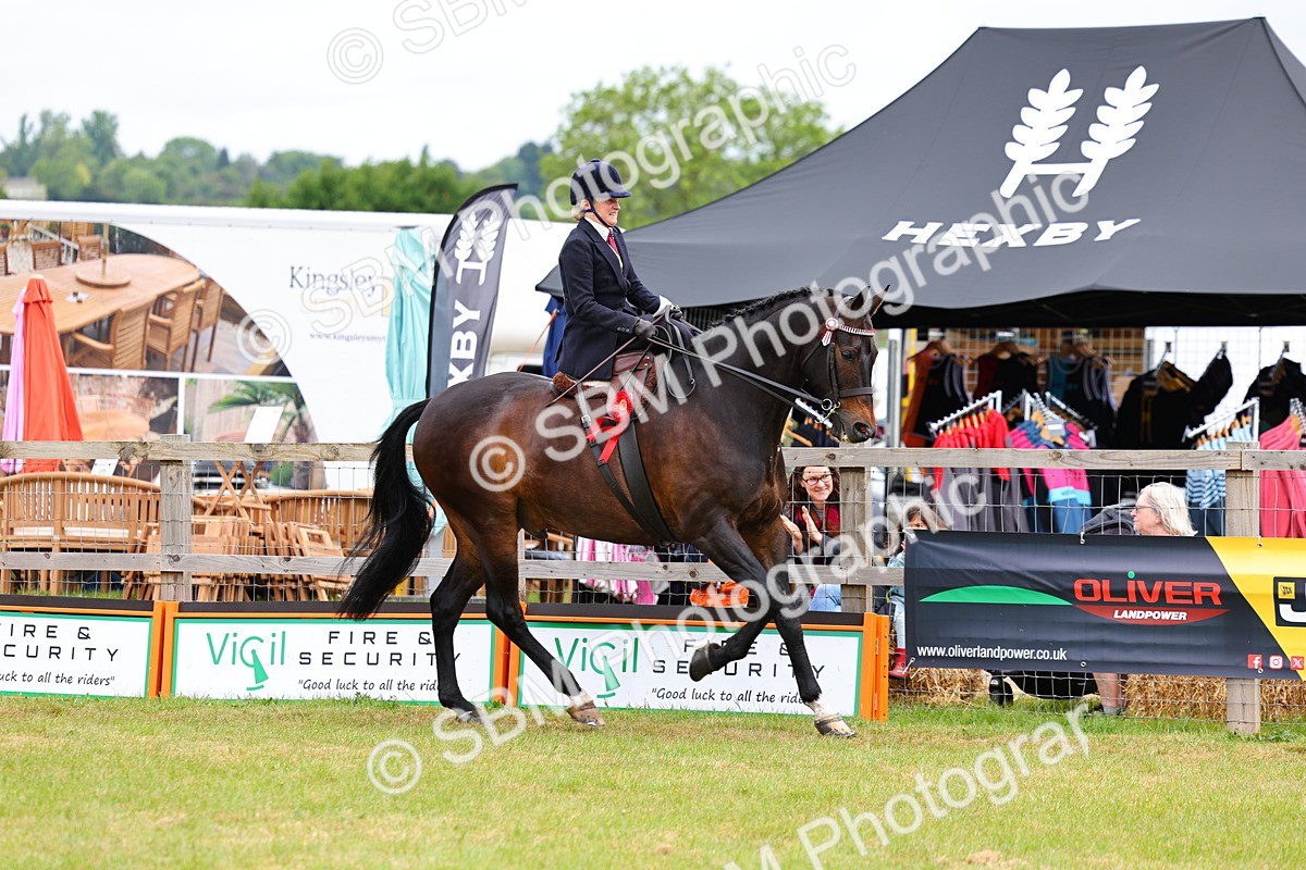 SBM_02978 - Class 9-11 Side Saddle including LIHS Rising Star Ladies Show Horse