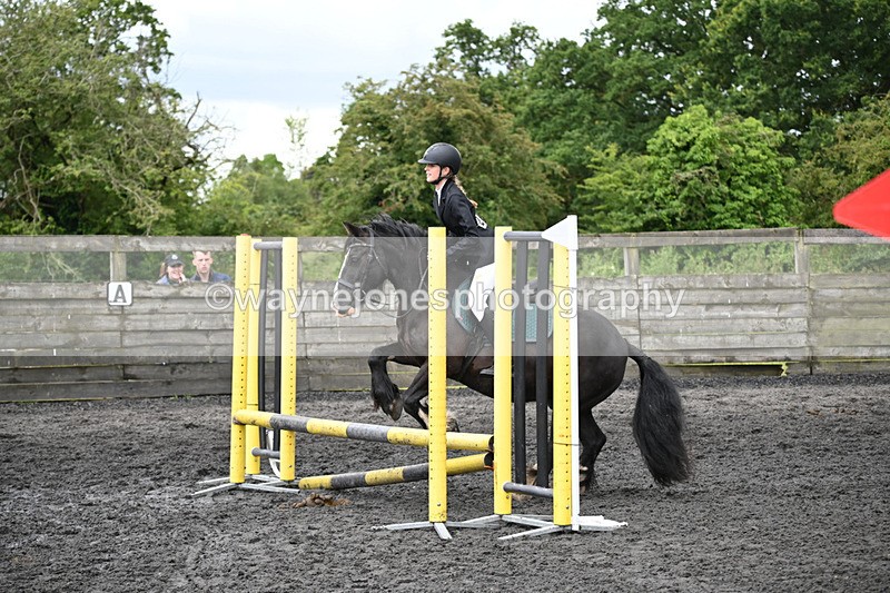 WJ6_0053 - Class 13 Novice 60cm