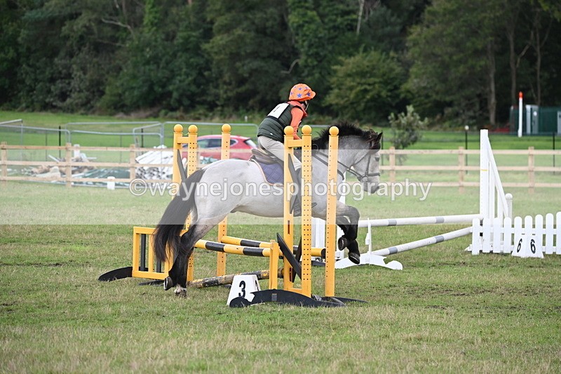 WJ6_1599 - 60cm Time 12:11 to 12:28