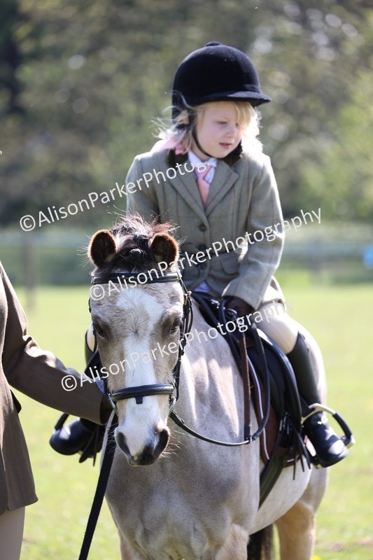 20250427-1558 - Class 31 - Leading Rein Pony
