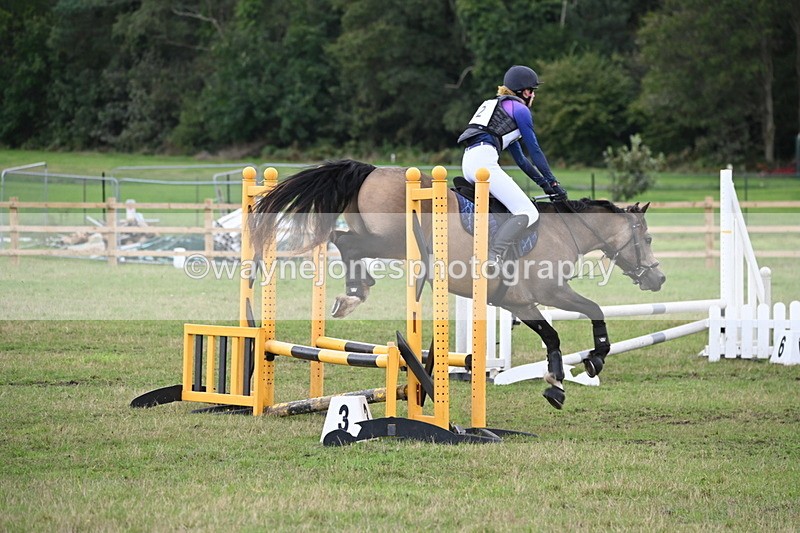 WJ6_1641 - 60cm Time 12:11 to 12:28