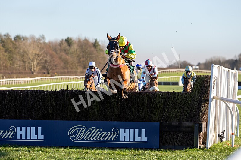 221124-Race 4-Duke Of Luckley--8551 - Race 4