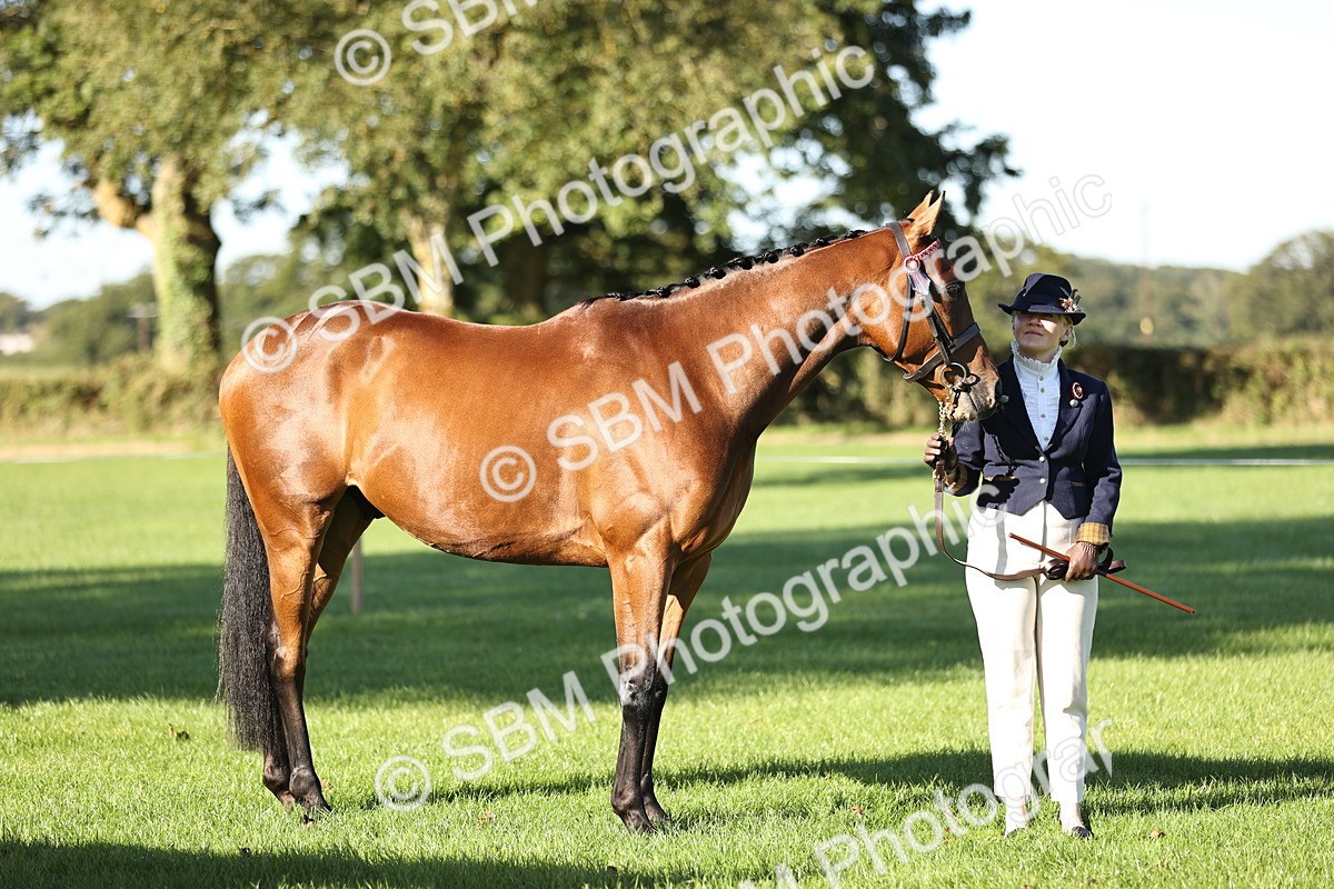 SBM_15788 - S1 - TSR in Hand Horse & Pony Showing