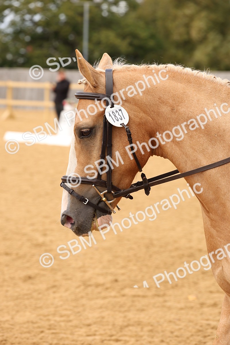 SBM_09074 - D30 - Small Tour PYO Open