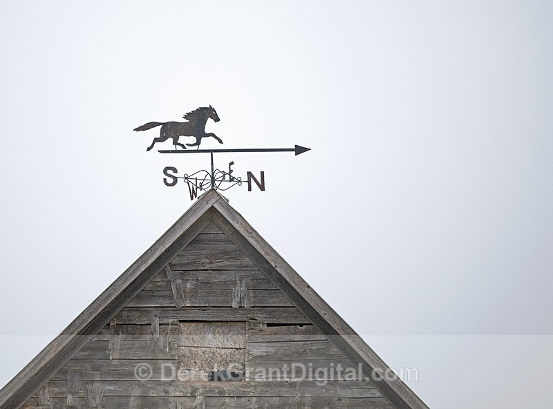 Weather Vane of Yore - Old Barns & Buildings