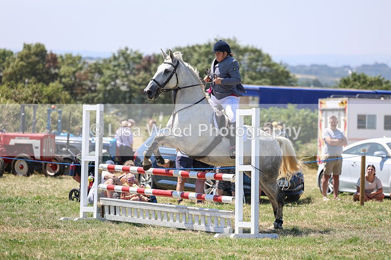 3E7A4376 - Class 10: Senior British Novice/90cm open