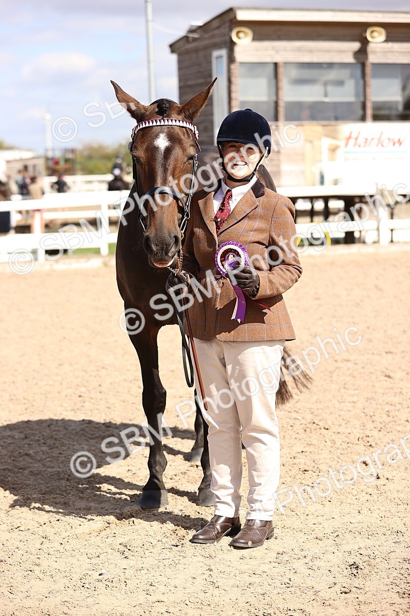 SBM_14330 - Class 411 - Prettiest Mare (IH OR Ridden) Adult