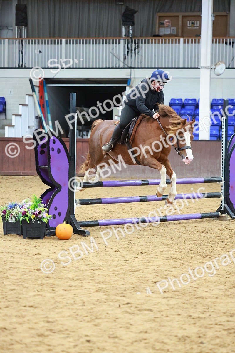 SBM_002873 - Class 4 - Pairs