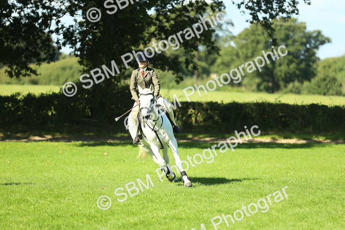 SBM_39132 - S29 - Novice & Newcomers Working Hunter Pony