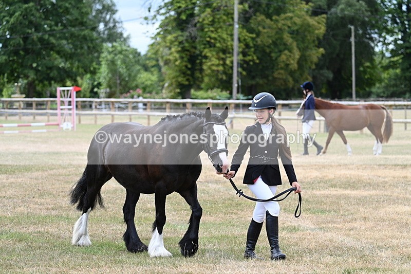 WJ7_1433 - Class 4 Prettiest Mare up to 14.2hh in hand