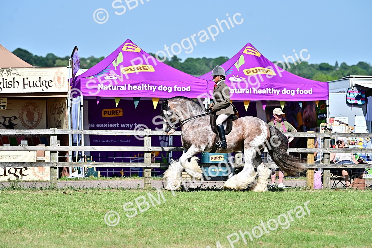 SBM_19373 - Class 101-102 - BSPS LIHS Performance Coloured Horse/Pony