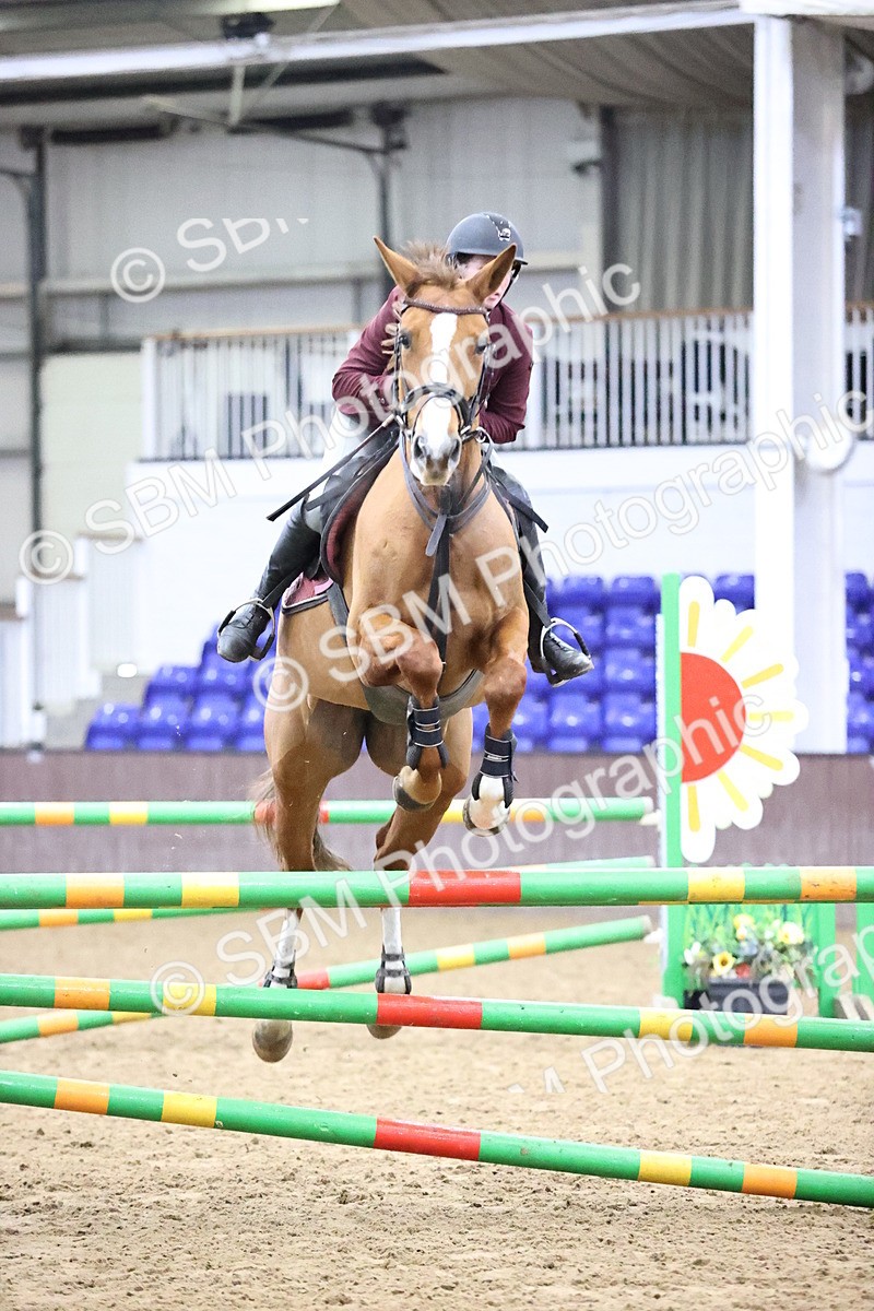 SBM_1925 - Class 8 - Nupafeed Supplements Senior Discovery/ 1m Open