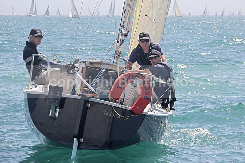 190629 TUDOR ROSE GBR1380R D43A4121_Edit - 170701 TUDOR ROSE GBR1380R
