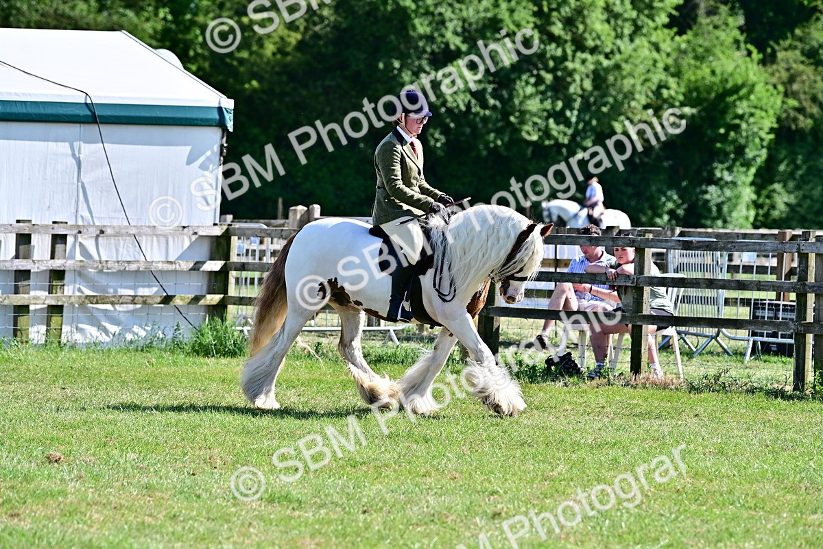 SBM_19438 - Class 101-102 - BSPS LIHS Performance Coloured Horse/Pony