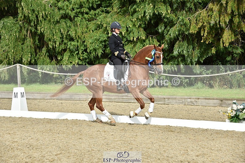 230812-160254-05323 - FEI PSG Bronze Presentations