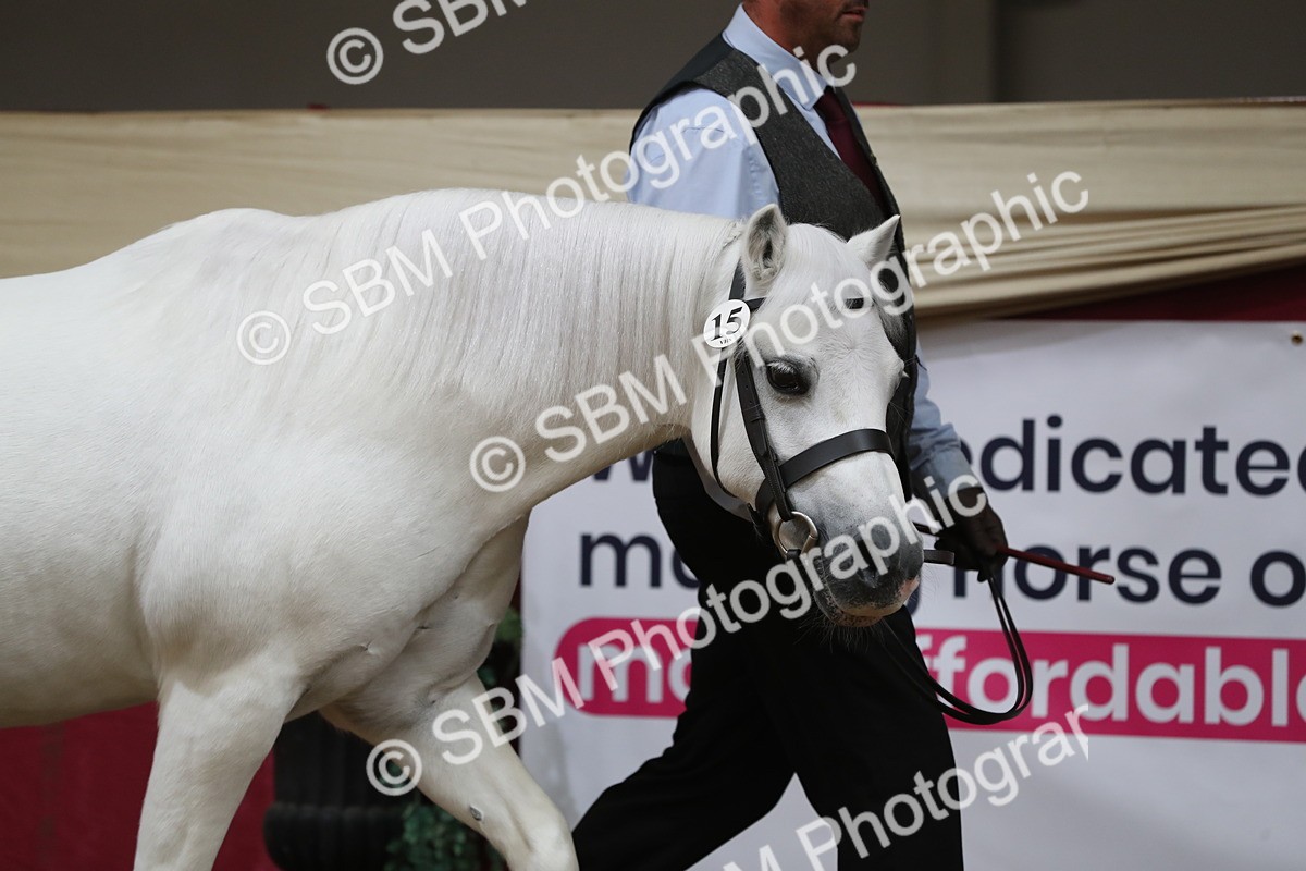 SBM_06213 - Class 9R Regional- IH Pre Vet