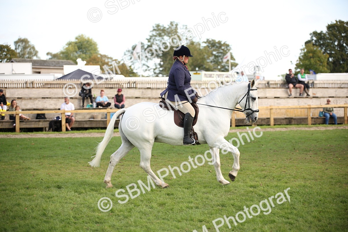 SBM_50210 - S26 - Young Veteran - Ridden