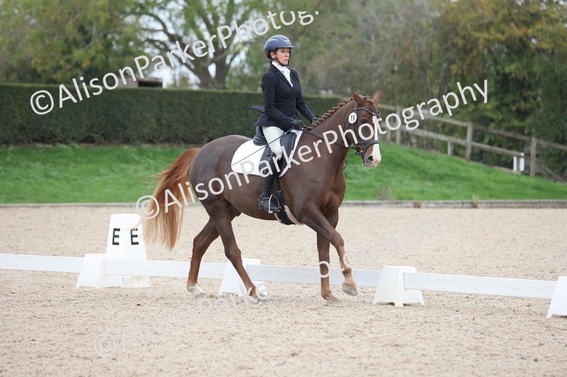 20251011-0380 - Class 4 - Novice 2