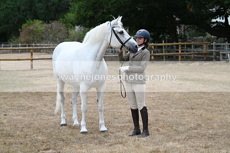 WJ7_9169 - Class 4a Prettiest Mare 14.2hh and over