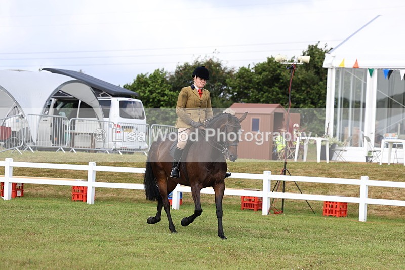 3E7A8953 - Class 3: Rising Star S/L Hunter