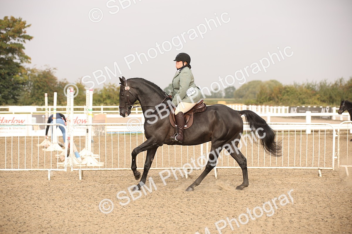 SBM_10221 - Class 402 Riding Club Horse