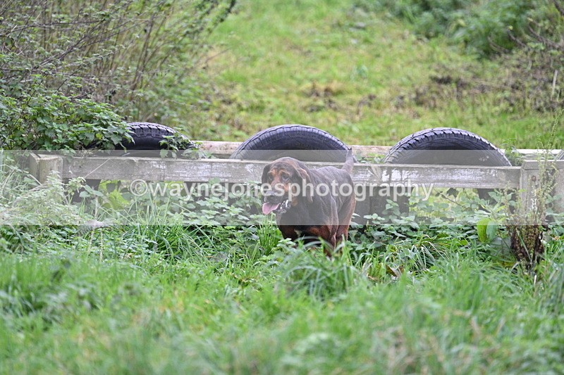 WJ7_8972 - Camera 1 only on this line