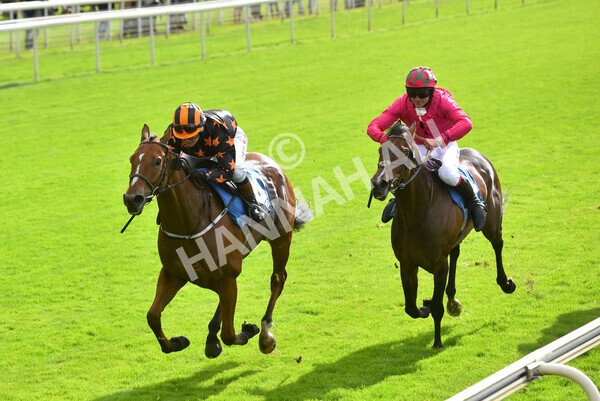 yr24092021r1-142 - Race 1 1.10pm Ernest Cooper Macmillan Ride of Their Lives