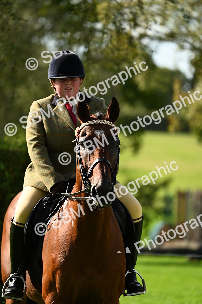 SBM_01634 - S2 - TSR Ridden Horse Showing