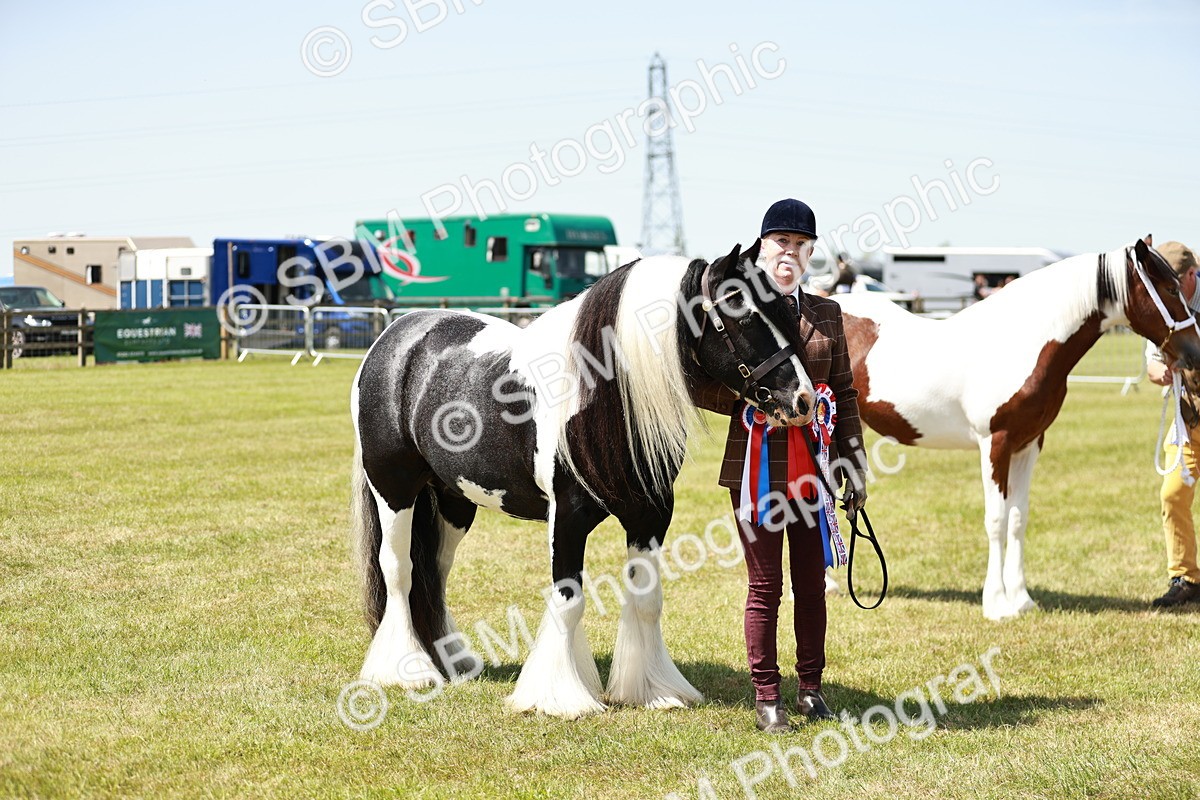 SBM_05518 - Class 41-45 - Riding Pony-Hunter Pony Breeding