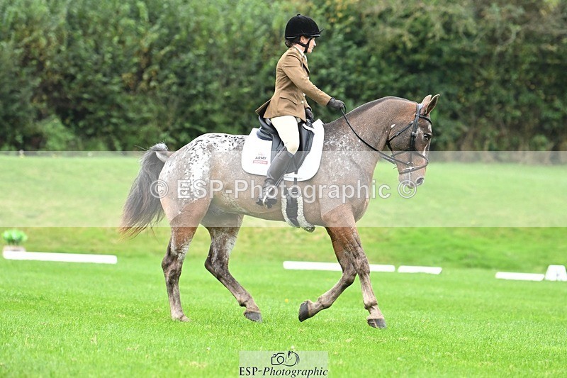 241024-105240-03071 - 501-Captain.Holly.Day-MUSTANG