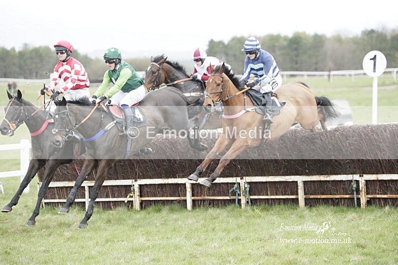 PtP 260323 0469 - New Forest Hounds Point-to-Point Larkhill 26/03/23