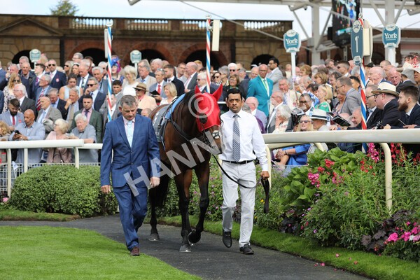 yr17082022r4-29 - Race 4 3.35pm Juddmonte International Stakes (British Champions Series Race)