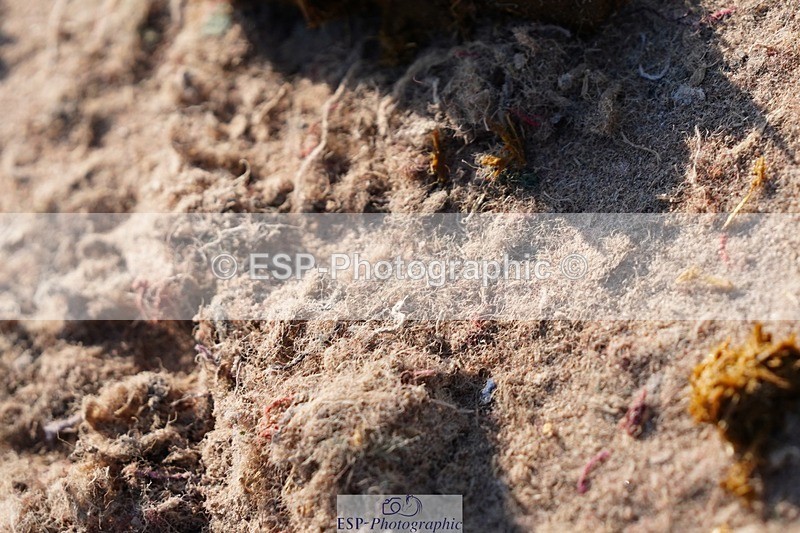 250510-180444-12420 - Cls 18 Chard Eq Derby