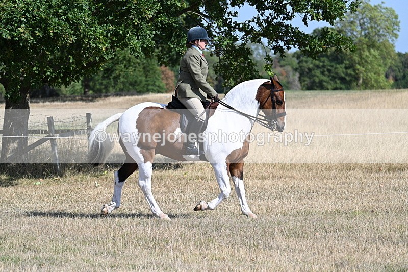 WJ7_2795 - Class 8 Ridden Tack & Turnout