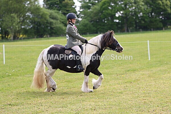 IMG_2390 - Working Hunter