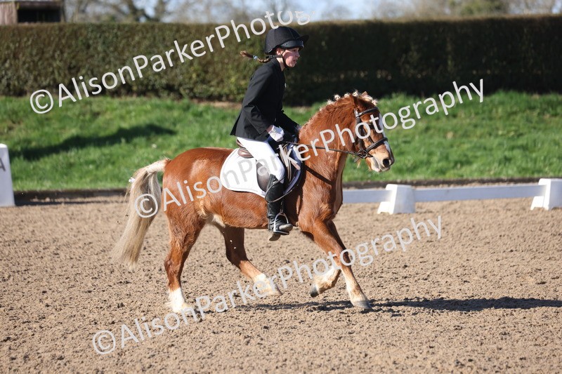 20260214-0282 - Class 3 - Prelim 2