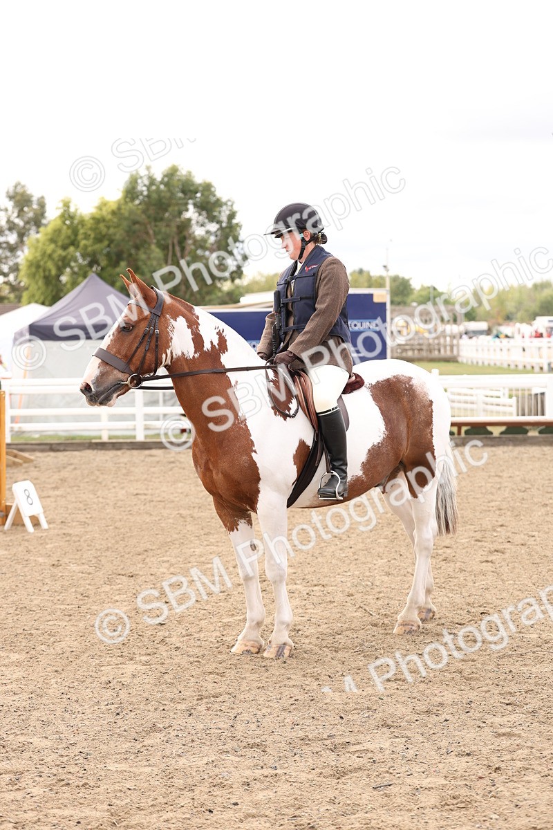 SBM_05089 - Class 56a -  Style & Performance - 50cm (15-19)