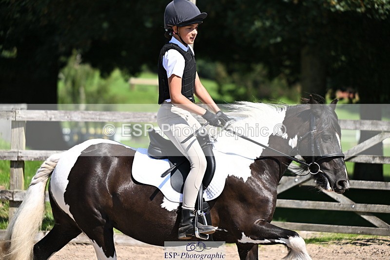 240729B-112555-02380 - Showjumping Competition