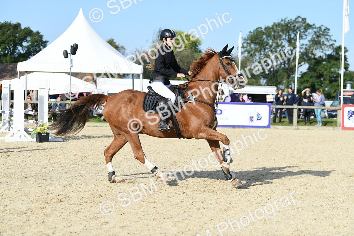 SBM_60558 - j25 - Junior Horse 80cm Championship
