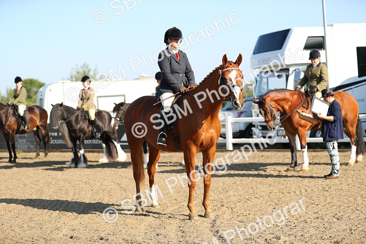 SBM_00445 - Class 41 Best Turned Out Ridden