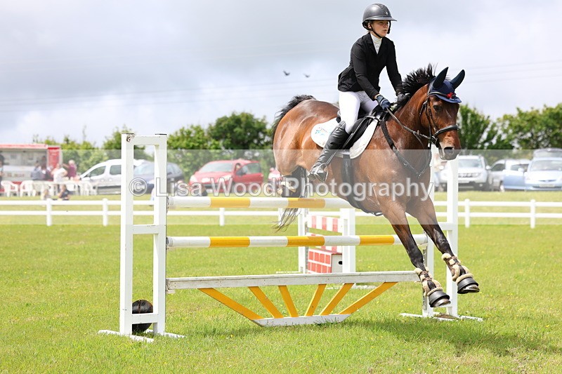 3E7A7103 - Class 12: Senior Foxhunter/1.20 open