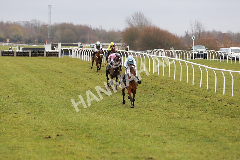 100225-Race 1-Tigerbythetail-5566 - Race 1