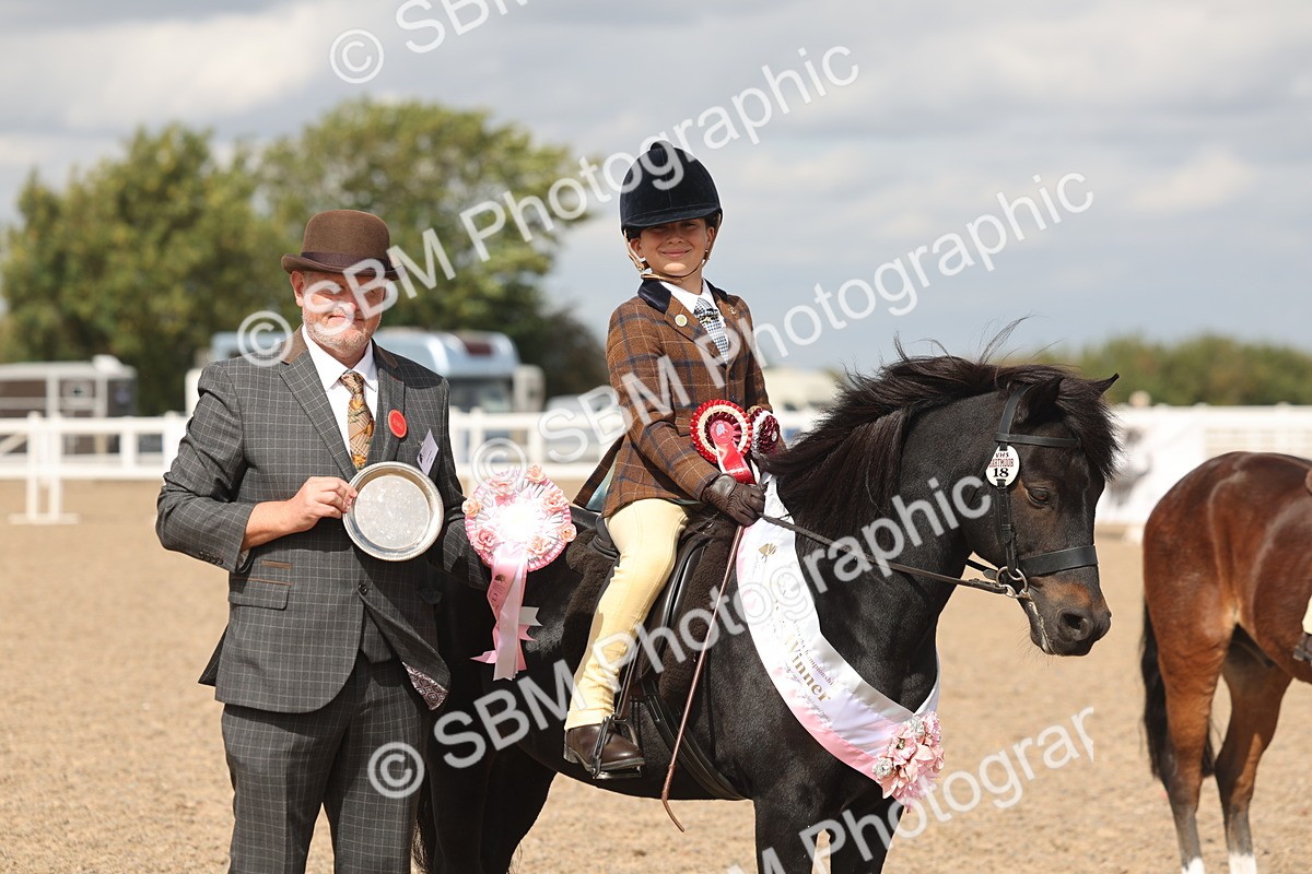 SBM_15916 - Class 310 - First Ridden Pony