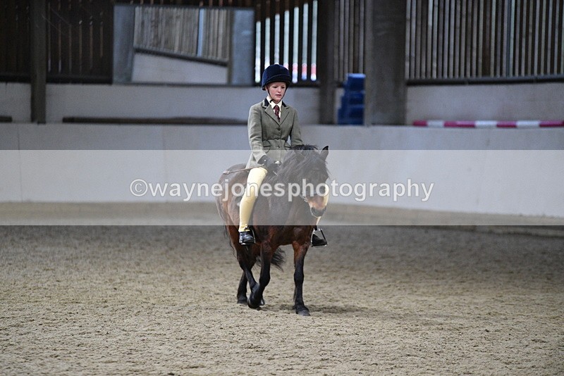 WJ5_8592 - Class 14 Novice Ridden/Rider