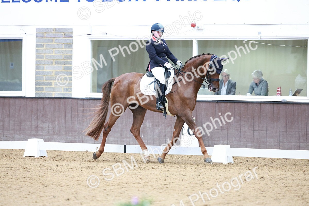 SBM_017931 - Class 15 - FEI Junior