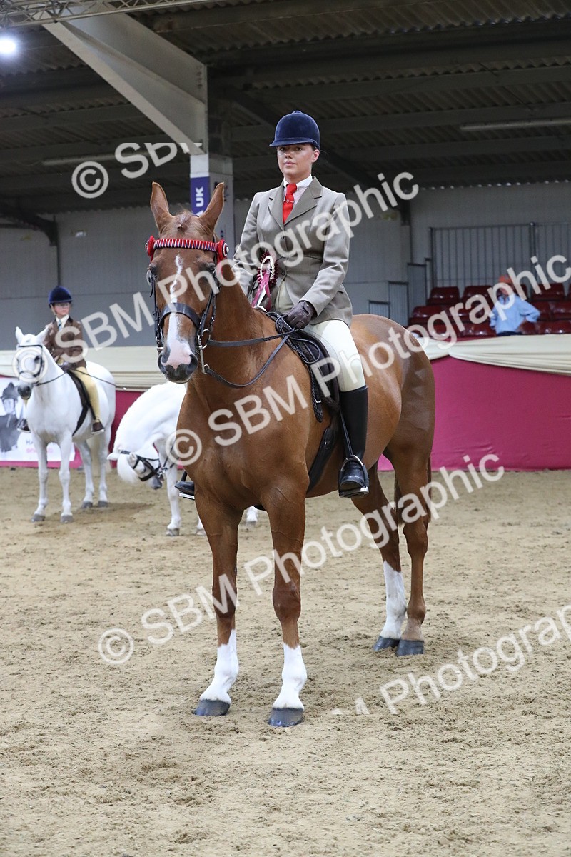 SBM_08473 - Class 11R Regional Ridden Veteran