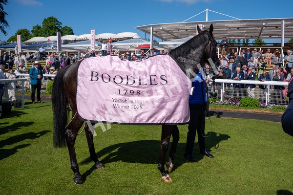 160525-Race 4-Rebels Romance-6470 - Race 4 3.45pm Boodles Yorkshire Cup Stakes