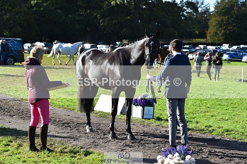 231022-111740-23871 - 560-TIMEPEICE.BLUE-Giorgio.Nardilli-TrotUp+SJ