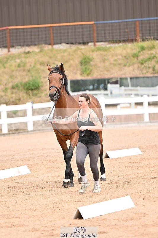 250716-150842-01686 - Trot Up 2.30 to 3.30