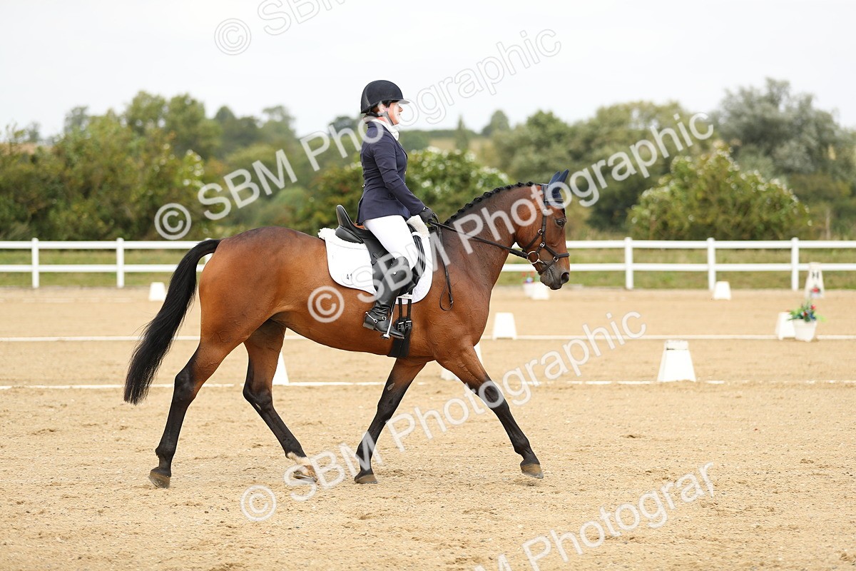 SBM_017327 - Class 13 - Novice 23 - 13.31-14.13